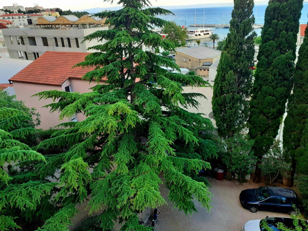 Villa Libe Baška Voda Εξωτερικό φωτογραφία