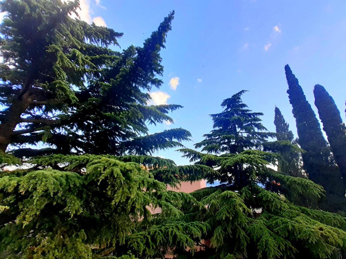Villa Libe Baška Voda Εξωτερικό φωτογραφία