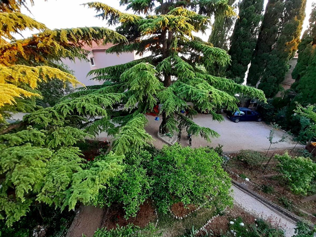 Villa Libe Baška Voda Εξωτερικό φωτογραφία