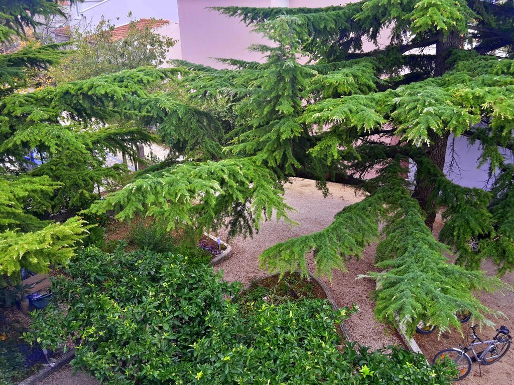 Villa Libe Baška Voda Εξωτερικό φωτογραφία