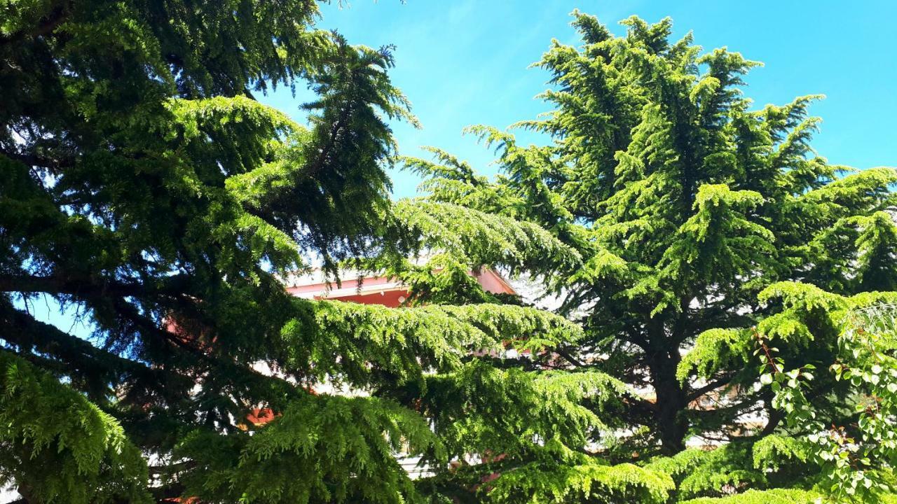 Villa Libe Baška Voda Εξωτερικό φωτογραφία